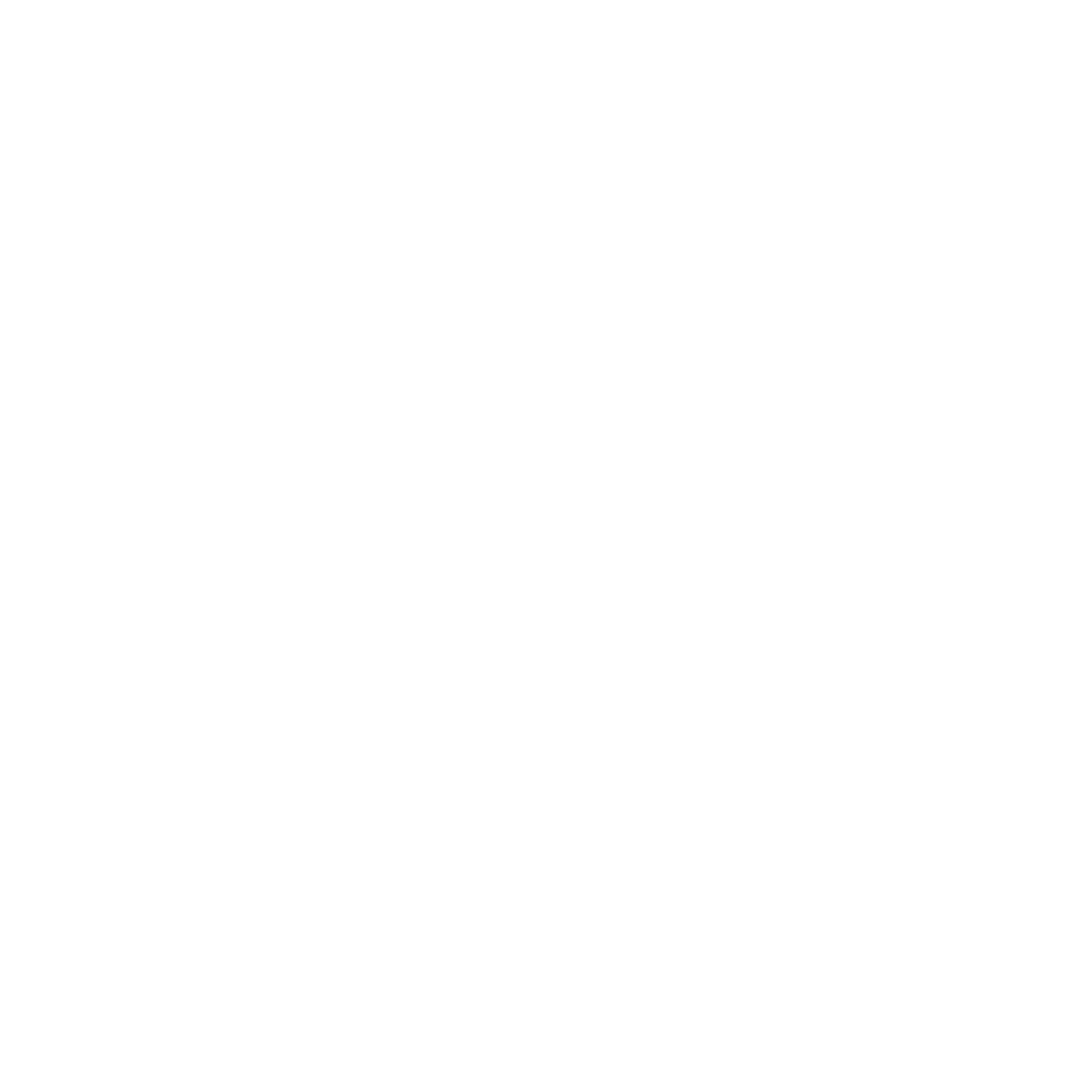 Evolution Bikes